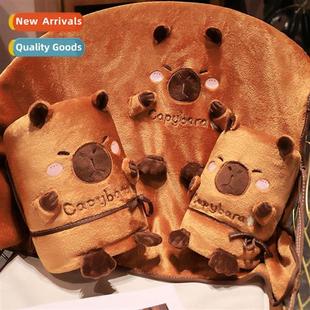 water dolphin nap Carto blanket capybara roll cute