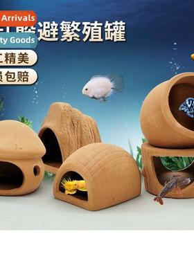 Fish aquarium aquascape alabaster clay pots hiding hole fish