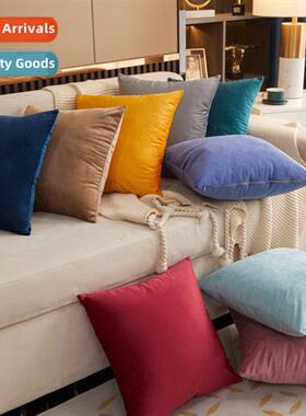 Secti Dutch velvet solid color velvet pillow set ins style b