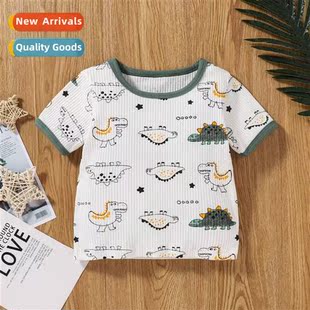 2023 New Casual Dinosaur T-Shirt + Shorts Printed Childrens