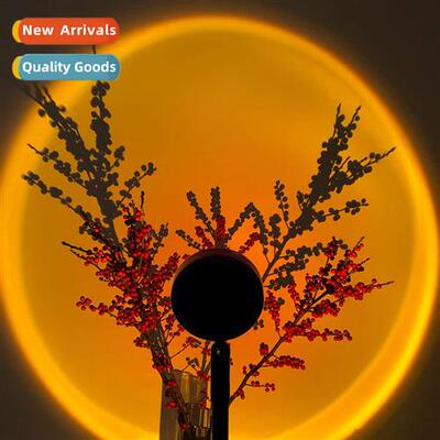 Sunset Sunset Lights Sunset Lights Rainbow Projecti Lights S