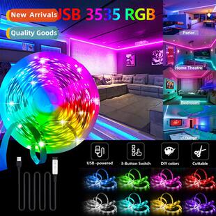 3535rgb colorful low desktop voltage strip USB5V light