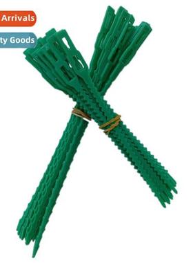 Gardening  Horticulture Fishbe Spike Tie 23CM Lg 20pcs Tie D