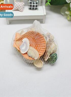 Cch Hainan Crafts Aquarium Gifts Fish Tank Shell Cch Filming