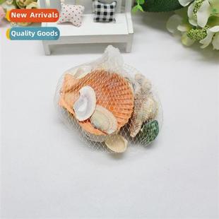 Aquarium Gifts Fish Cch Shell Crafts Tank Filming Hainan