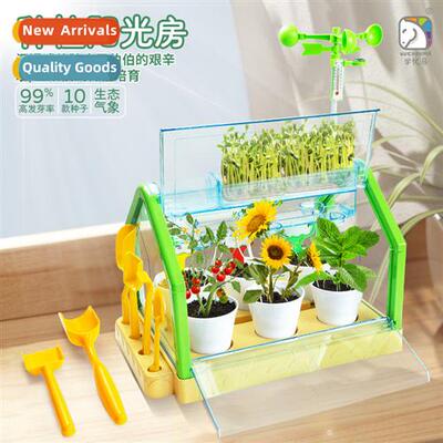 sunroom children DIY planting sets toys seed observati windo