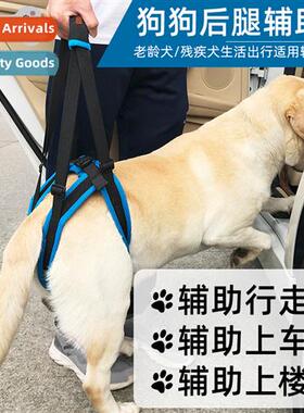 Pet Leg Carrier Walking Brace Dog Leg Brace Back Leg Disabil