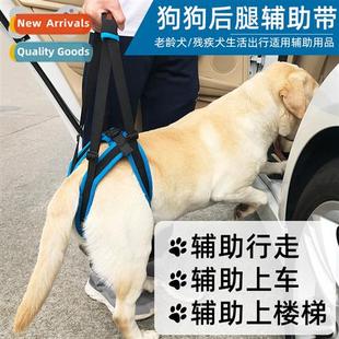 Walking Carrier Brace Dog Disabil Pet Back Leg