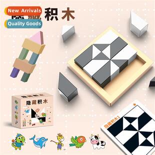 Puzzle hidden block puzzle toys exercise children spatial lo