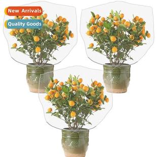 Gardening Fru Bird Insect Nettin Garden Bag Cover Plant Tree