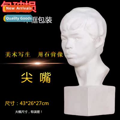 Pointed mouth plaster statue head art supplies sketching tea