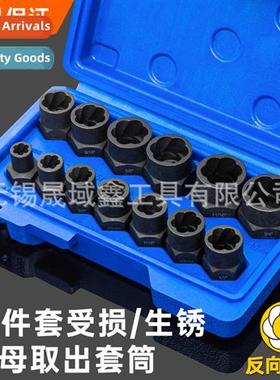 Damaged Rusty Nut Bolt Screw Remover Tire Slip Thread Screw