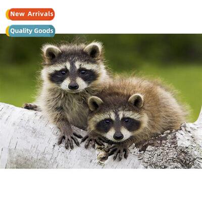 Modern simple decorative small wall art new diamd painting s