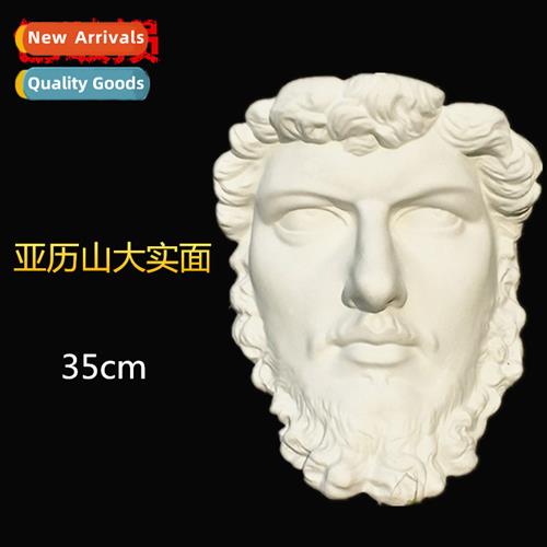 Art Supplies Plaster Teaching Aids Alexer Hanging Solid Plas