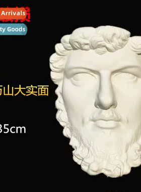 Art Supplies Plaster Teaching Aids Alexer Hanging Solid Plas