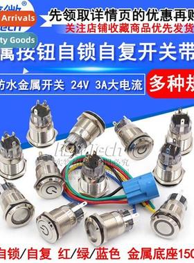 24V 19MM Flat Head 12V -Resetting -Locking Metal Pushbutt S