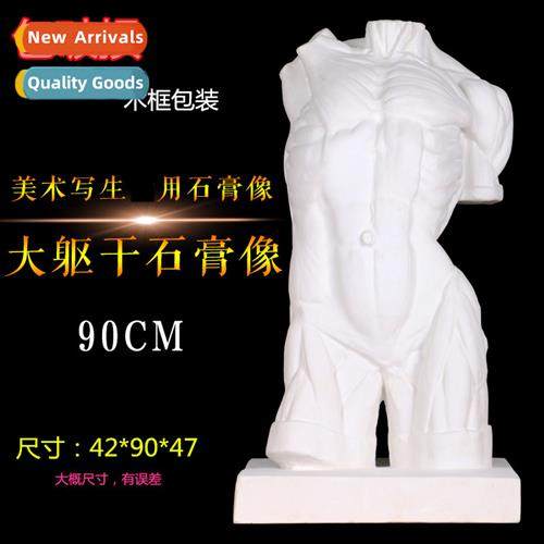 Large torso plaster bust art supplies sketching teaching aid
