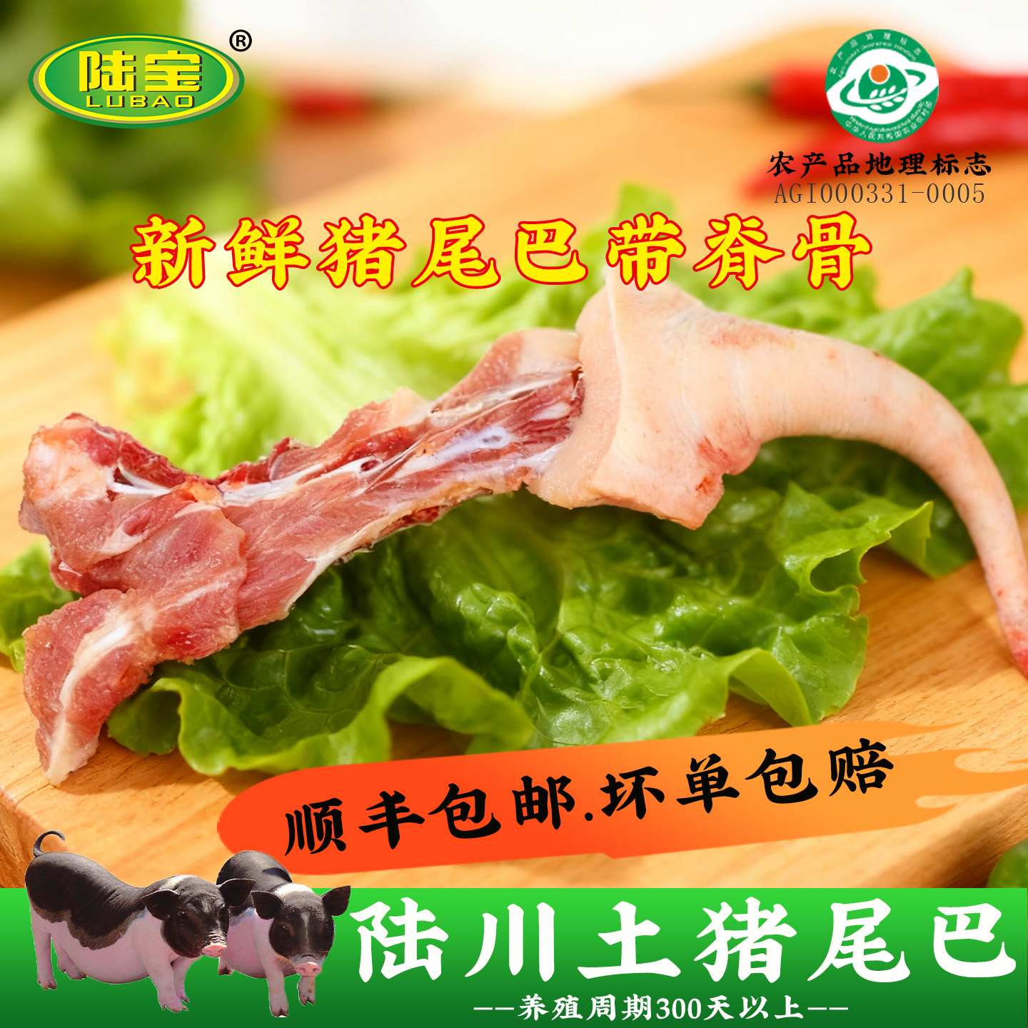 养殖周期300天以上的陆川土猪