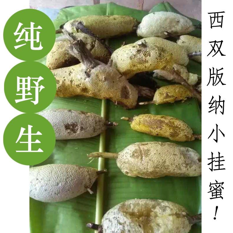 云南西双版纳纯野生小挂蜜天然深山小草蜂蜜蜂巢蜜嚼着吃非土蜂蜜|msdalam kategori makanan berkhasiat tradisional, madu - dari Buy2taobao.com untuk memberikan perkhidmatan ejen Taobao profesional membeli