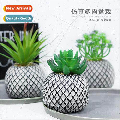 Scandinavian samlined mesh simulation potted plants simulati