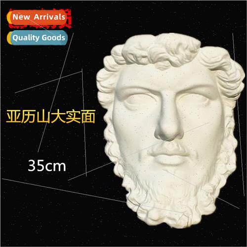 Art Supplies Plaster Teaching Aids Alexander Hanging Solid P