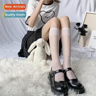 whe female mid calf cal thin socks unim Transparent