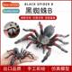 trick spider model cognive animal Halloween insect toy solid