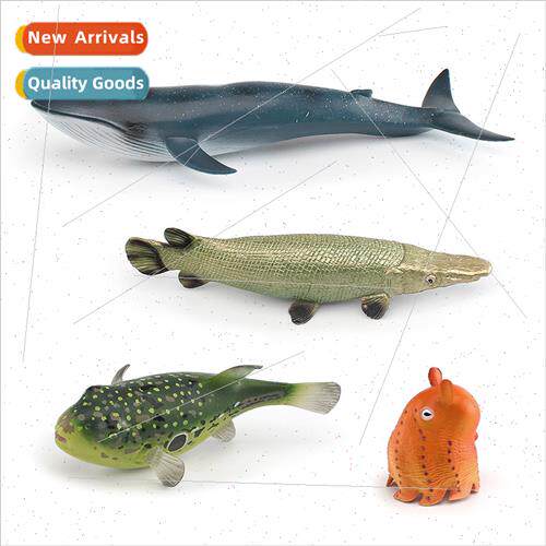 Solid crocodile finch eel river triggerfish blue whale Dumbo