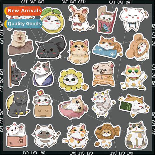 62 cute Japan cat daily doodle stickers trolley case water c
