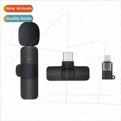 Wireless Microphone Lavalier Mini Noise Canceling One to Two