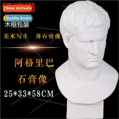 Brandt Agrippa plaster statue plaster head hanging plaster a