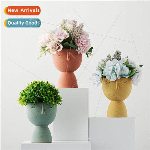 Scandinavian simple human face ceramic flower pot abstract a