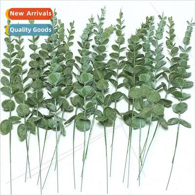 Ins retro eucalyptus money leaf branch small fresh simulatio