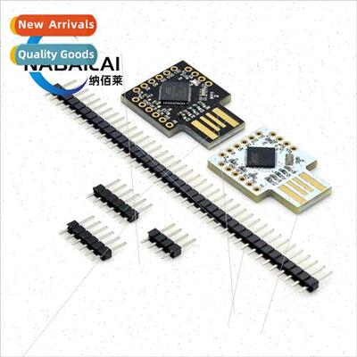 Beetle Leonardo USB ATMEGA32U4 Mini Development Board
