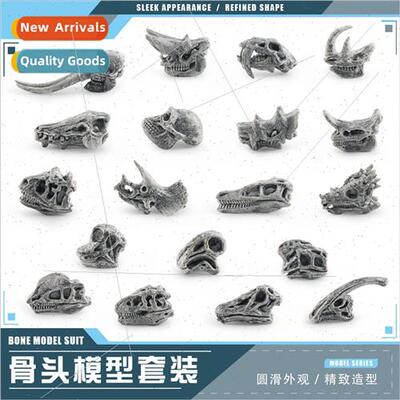 Gray Skull Triceratops Mastodon Beam Dragon Brachiosaurus Gr