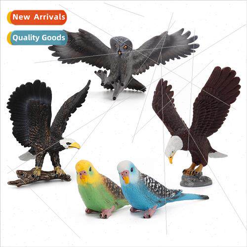 Wildlife simulation birds prey model children owl bald eagle