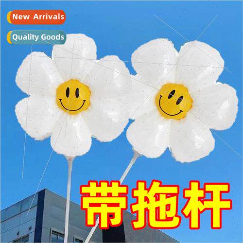ins small daisy balloon wh pole flower handheld stick picnic