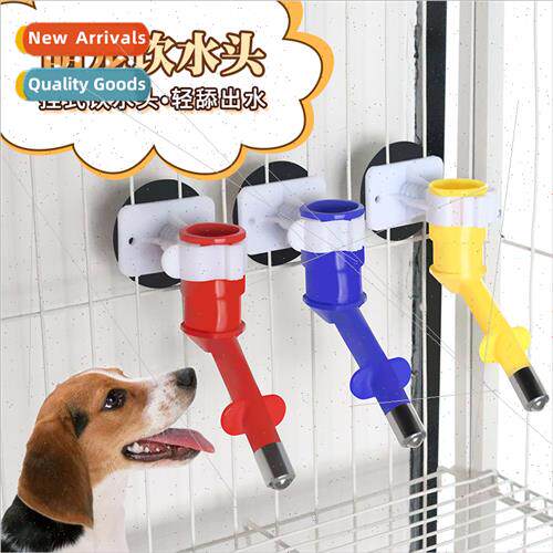 Pet DrinkerBall Hanging Drinking Head wh Drink Coke BottleDo
