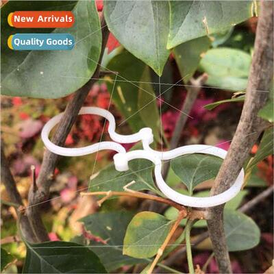 Gardening horticulture plant stem 8 buckle flowers frus vege