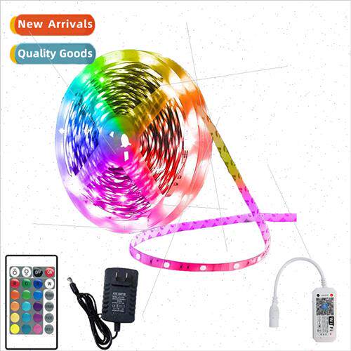 led strip light 2.4G bluetooth 24 keys remote control WIFI c