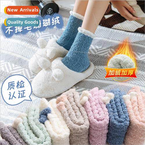 Non-fleece coral fleece sleep socks padded thickened women m