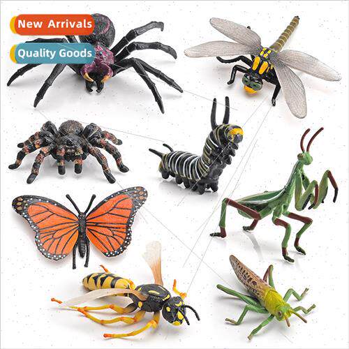 Children animal world insect model poisonous spider caterpil