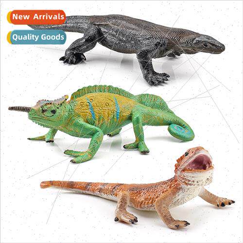 Small desert chameleon lizard lizard amphibian model solid s