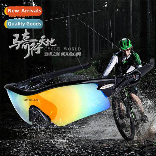 Polarized Riding Glasses Outdoor Sunglasses Fishing Driving