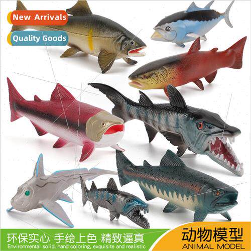 mulation deep-sea salmon tuna mahi-mahi wolf fish model ocea
