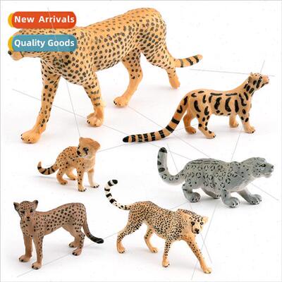 Wildlife Leopard Model Cheetah Clouded Leopard Snow Leopard