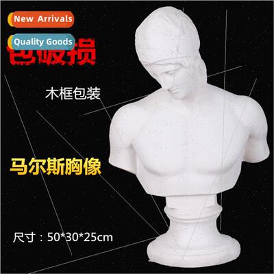 Mars Bust Plaster Sketch Sketching Still fe Model Art Room S