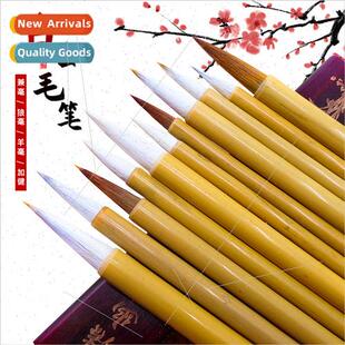 Wolf Brush Hair Student Whe Beginner Cloud