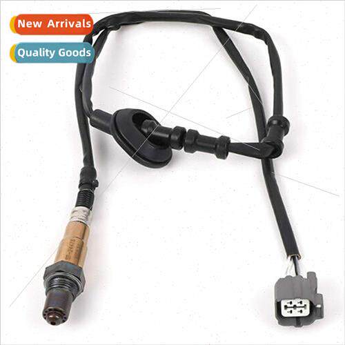 Downsam Oxygen O2 Sensor 4wire 250-24476