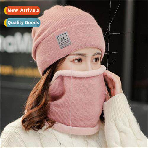 Hat female winter warm outdoor versatile padded wool cap thi